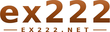 ex222 logo